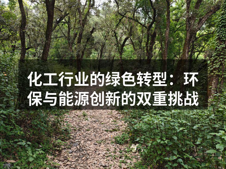 化工行业的绿色转型：环保与能源创新的双重挑战
